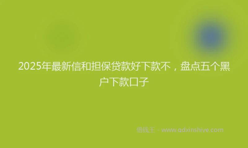 2025年最新信和担保贷款好下款不，盘点五个黑户下款口子