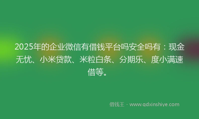 2025年的企业微信有借钱平台吗安全吗有：现金无忧、小米贷款、米粒白条、分期乐、度小满速借等。