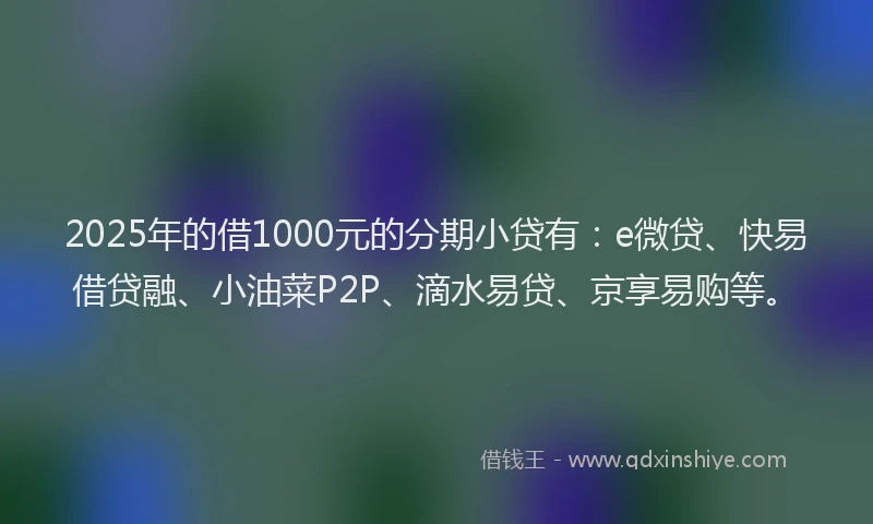 2025年的借1000元的分期小贷有：e微贷、快易借贷融、小油菜P2P、滴水易贷、京享易购等。