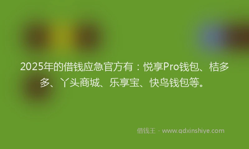 2025年的借钱应急官方有：悦享Pro钱包、桔多多、丫头商城、乐享宝、快鸟钱包等。