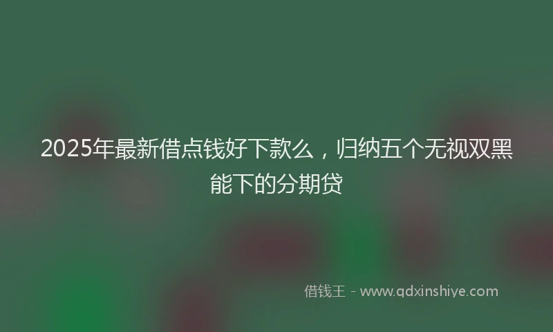 2025年最新借点钱好下款么，归纳五个无视双黑能下的分期贷