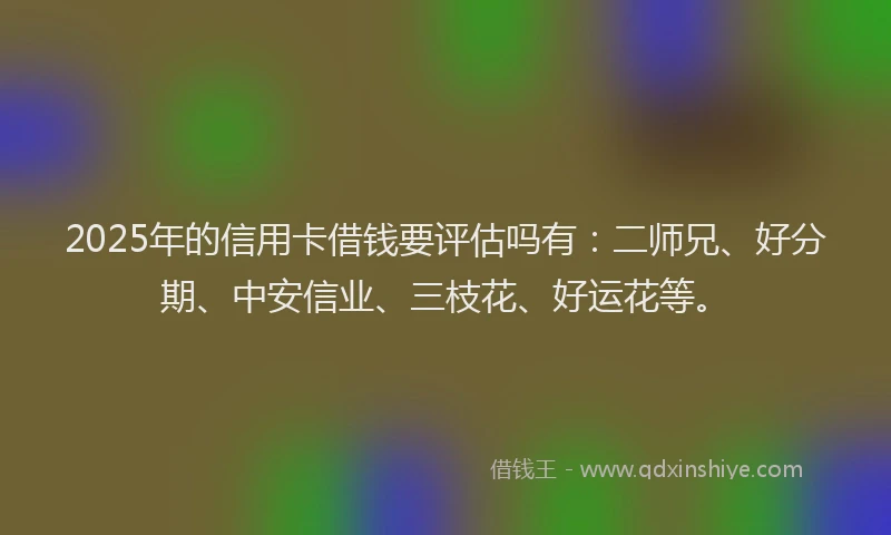 2025年的信用卡借钱要评估吗有：二师兄、好分期、中安信业、三枝花、好运花等。