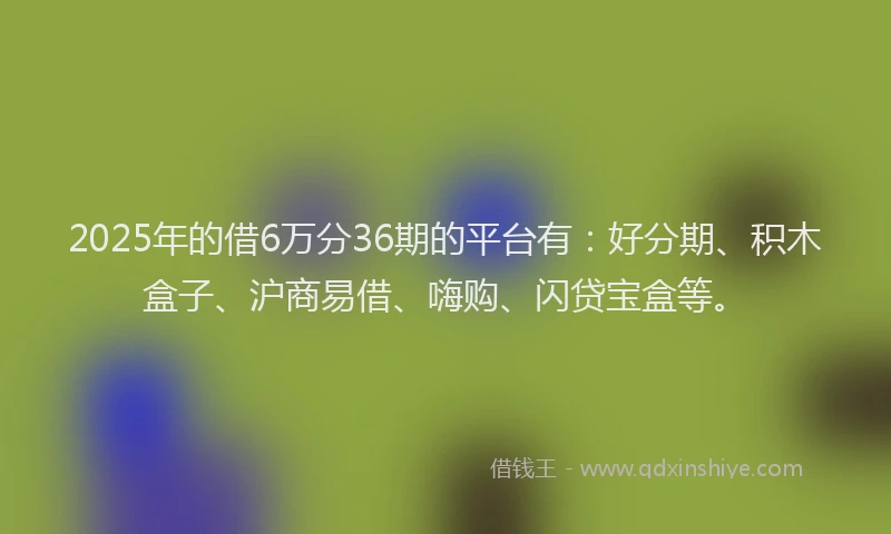 2025年的借6万分36期的平台有：好分期、积木盒子、沪商易借、嗨购、闪贷宝盒等。