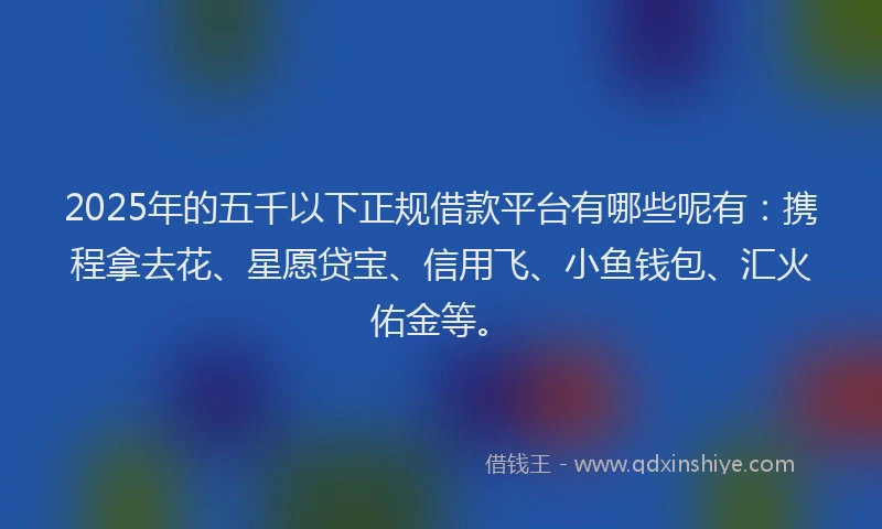 2025年的五千以下正规借款平台有哪些呢有：携程拿去花、星愿贷宝、信用飞、小鱼钱包、汇火佑金等。