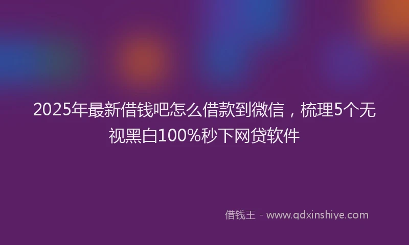 2025年最新借钱吧怎么借款到微信，梳理5个无视黑白100%秒下网贷软件