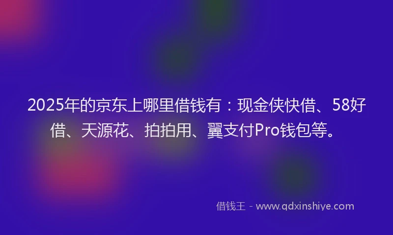 2025年的京东上哪里借钱有：现金侠快借、58好借、天源花、拍拍用、翼支付Pro钱包等。