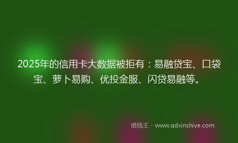 2025年的信用卡大数据被拒有：易融贷宝、口袋宝、萝卜易购、优投金服、闪贷易融等。