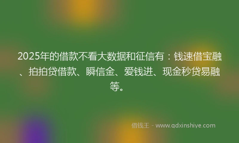 2025年的借款不看大数据和征信有：钱速借宝融、拍拍贷借款、瞬信金、爱钱进、现金秒贷易融等。
