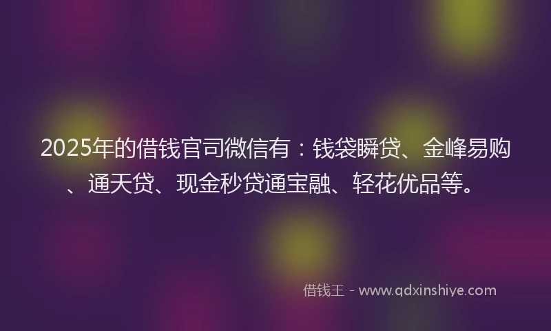 2025年的借钱官司微信有：钱袋瞬贷、金峰易购、通天贷、现金秒贷通宝融、轻花优品等。