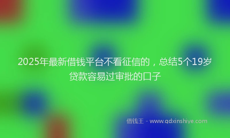 2025年最新借钱平台不看征信的，总结5个19岁贷款容易过审批的口子
