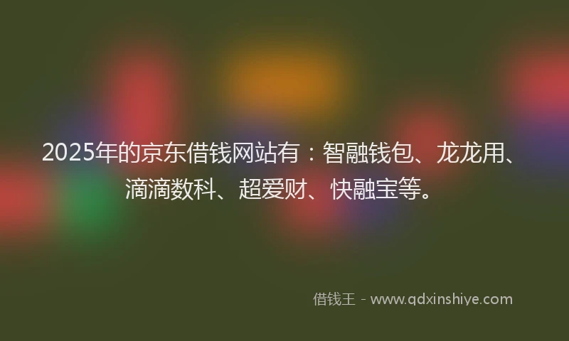 2025年的京东借钱网站有：智融钱包、龙龙用、滴滴数科、超爱财、快融宝等。