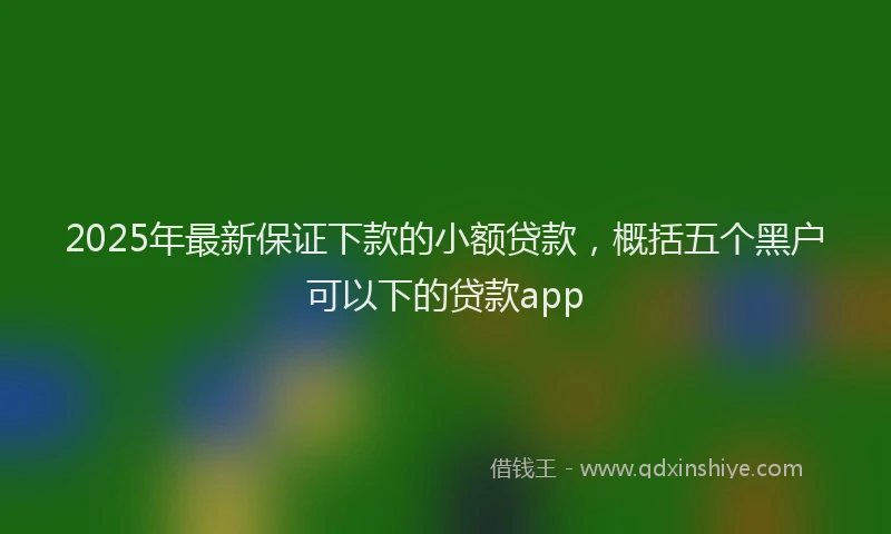 2025年最新保证下款的小额贷款，概括五个黑户可以下的贷款app