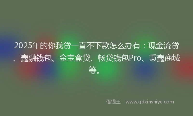 2025年的你我贷一直不下款怎么办有：现金流贷、鑫融钱包、金宝盒贷、畅贷钱包Pro、秉鑫商城等。