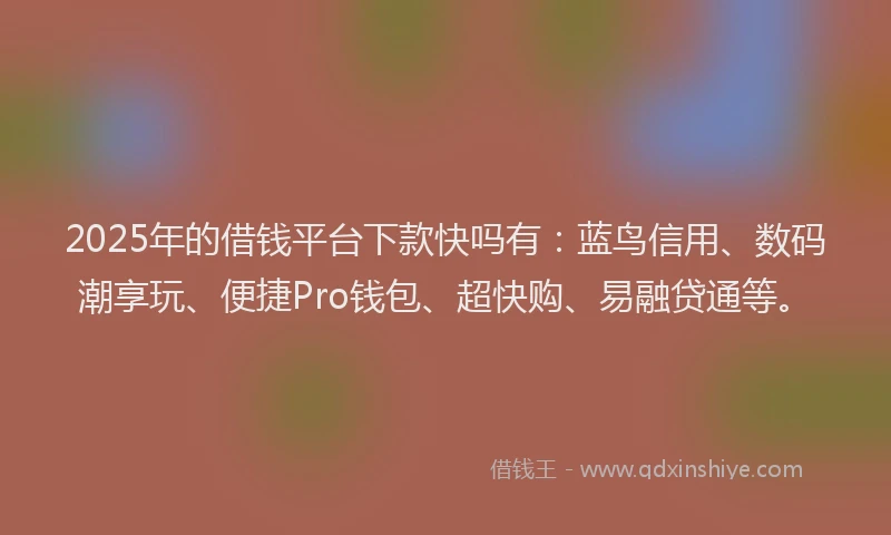 2025年的借钱平台下款快吗有：蓝鸟信用、数码潮享玩、便捷Pro钱包、超快购、易融贷通等。