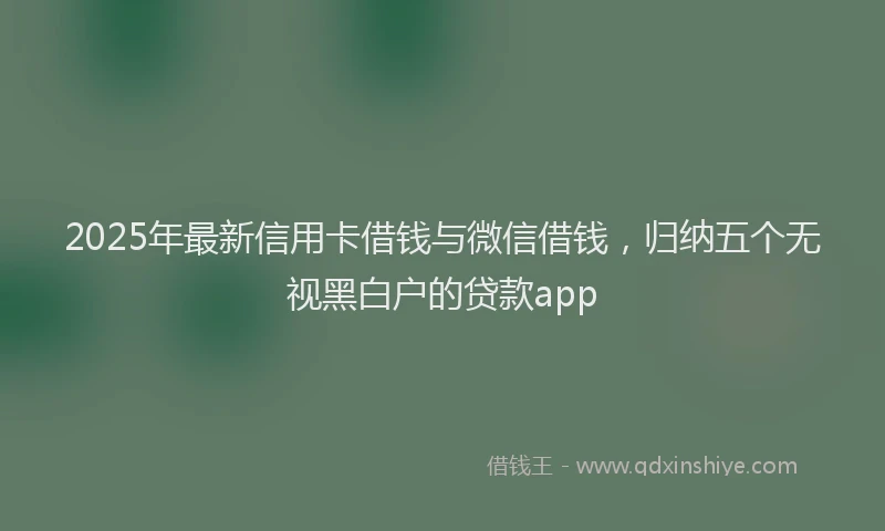 2025年最新信用卡借钱与微信借钱，归纳五个无视黑白户的贷款app