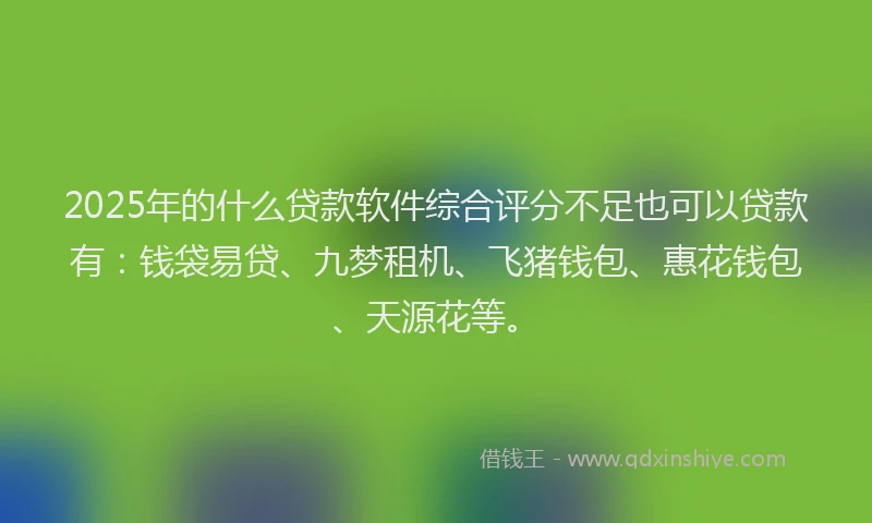 2025年的什么贷款软件综合评分不足也可以贷款有：钱袋易贷、九梦租机、飞猪钱包、惠花钱包、天源花等。