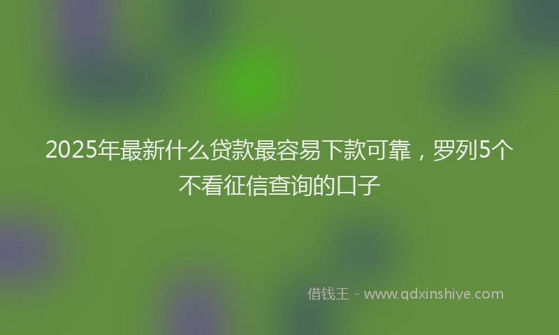 2025年最新什么贷款最容易下款可靠，罗列5个不看征信查询的口子