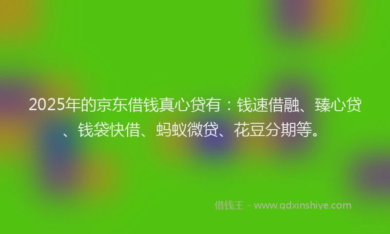 2025年的京东借钱真心贷有：钱速借融、臻心贷、钱袋快借、蚂蚁微贷、花豆分期等。