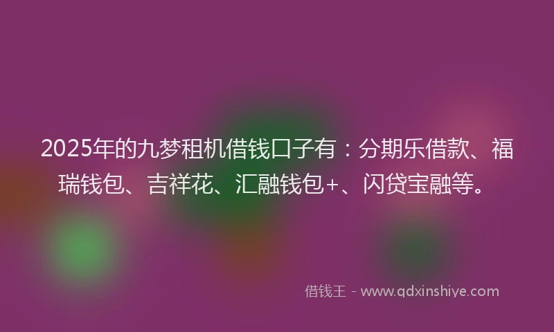 2025年的九梦租机借钱口子有：分期乐借款、福瑞钱包、吉祥花、汇融钱包+、闪贷宝融等。