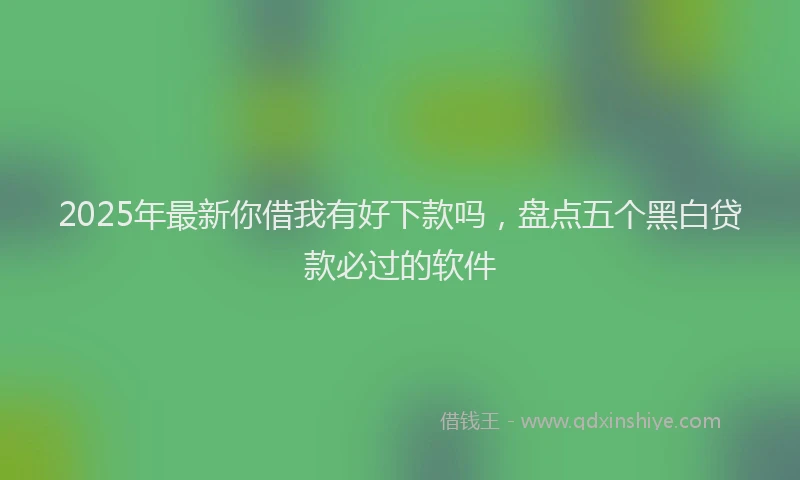 2025年最新你借我有好下款吗，盘点五个黑白贷款必过的软件