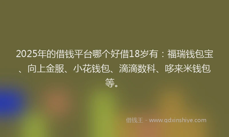 2025年的借钱平台哪个好借18岁有：福瑞钱包宝、向上金服、小花钱包、滴滴数科、哆来米钱包等。