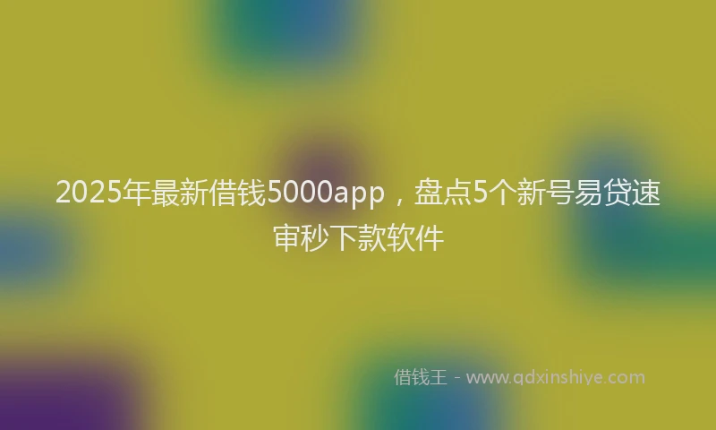 2025年最新借钱5000app，盘点5个新号易贷速审秒下款软件