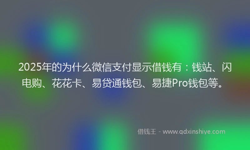 2025年的为什么微信支付显示借钱有：钱站、闪电购、花花卡、易贷通钱包、易捷Pro钱包等。