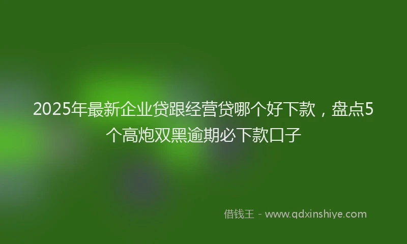 2025年最新企业贷跟经营贷哪个好下款，盘点5个高炮双黑逾期必下款口子