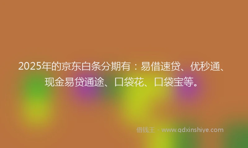 2025年的京东白条分期有：易借速贷、优秒通、现金易贷通途、口袋花、口袋宝等。