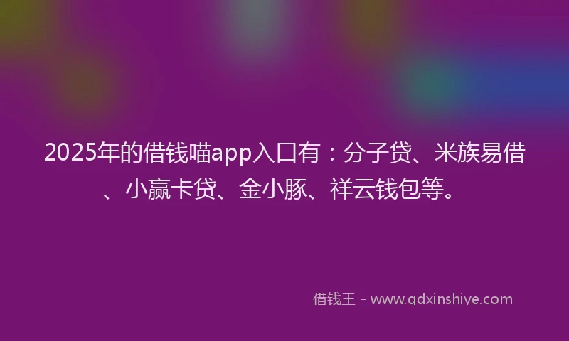 2025年的借钱喵app入口有：分子贷、米族易借、小赢卡贷、金小豚、祥云钱包等。