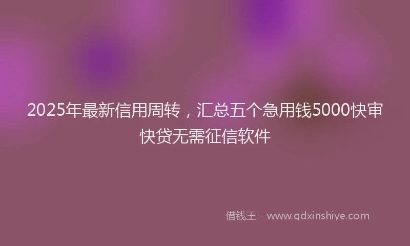 2025年最新信用周转，汇总五个急用钱5000快审快贷无需征信软件