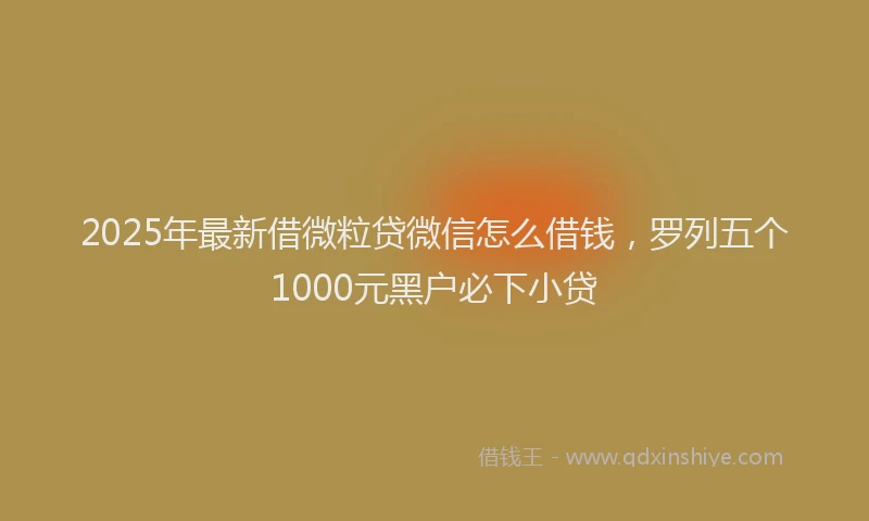 2025年最新借微粒贷微信怎么借钱，罗列五个1000元黑户必下小贷