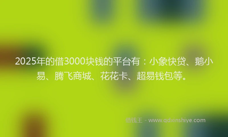 2025年的借3000块钱的平台有：小象快贷、鹅小易、腾飞商城、花花卡、超易钱包等。