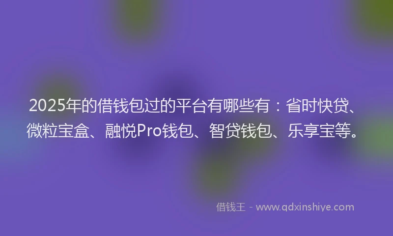 2025年的借钱包过的平台有哪些有：省时快贷、微粒宝盒、融悦Pro钱包、智贷钱包、乐享宝等。
