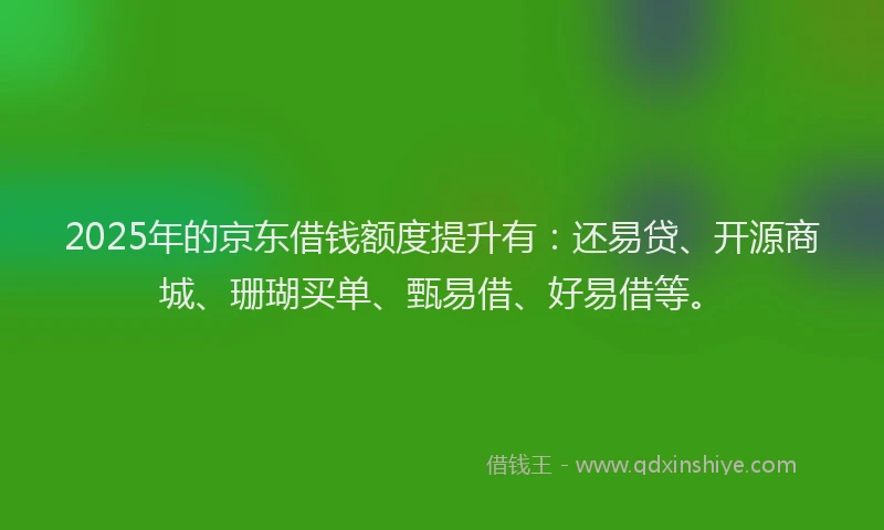 2025年的京东借钱额度提升有：还易贷、开源商城、珊瑚买单、甄易借、好易借等。