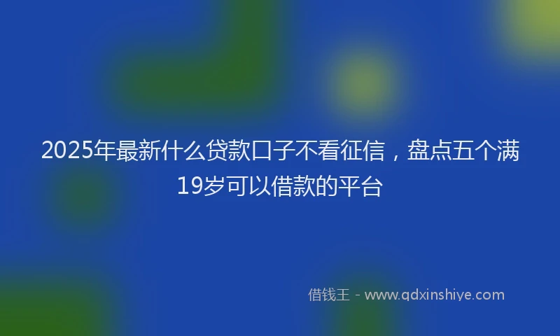 2025年最新什么贷款口子不看征信，盘点五个满19岁可以借款的平台