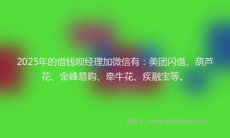 2025年的借钱呗经理加微信有：美团闪借、葫芦花、金峰易购、牵牛花、疾融宝等。