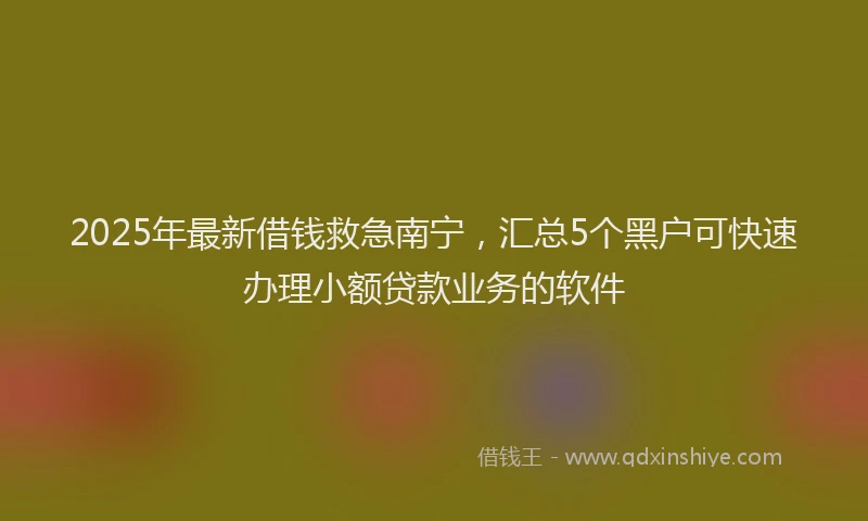 2025年最新借钱救急南宁，汇总5个黑户可快速办理小额贷款业务的软件