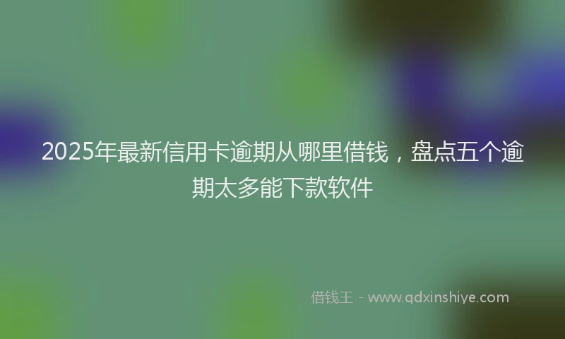 2025年最新信用卡逾期从哪里借钱，盘点五个逾期太多能下款软件