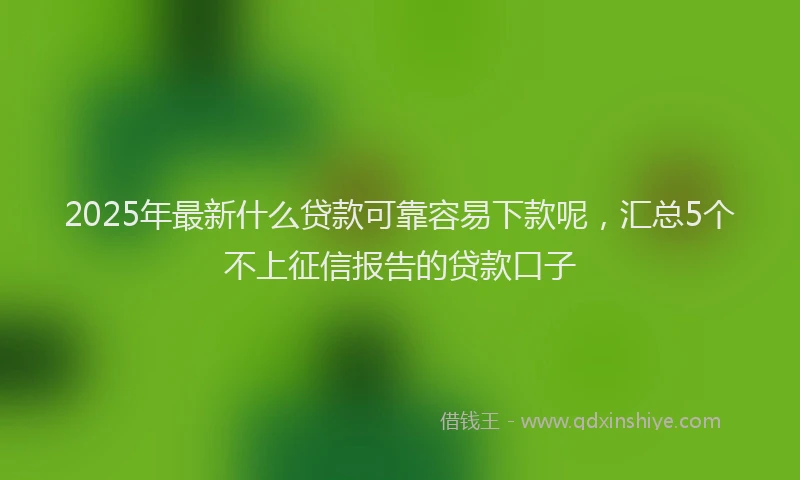 2025年最新什么贷款可靠容易下款呢，汇总5个不上征信报告的贷款口子