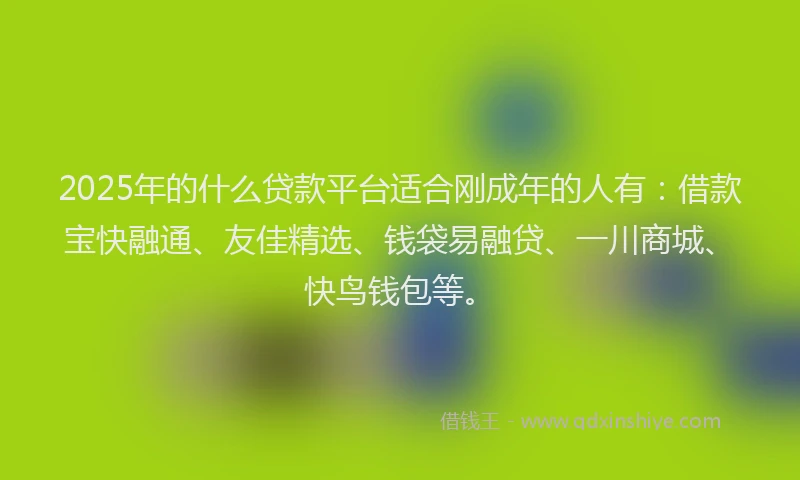 2025年的什么贷款平台适合刚成年的人有：借款宝快融通、友佳精选、钱袋易融贷、一川商城、快鸟钱包等。