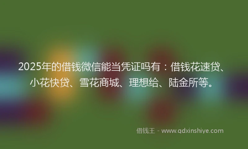 2025年的借钱微信能当凭证吗有：借钱花速贷、小花快贷、雪花商城、理想给、陆金所等。