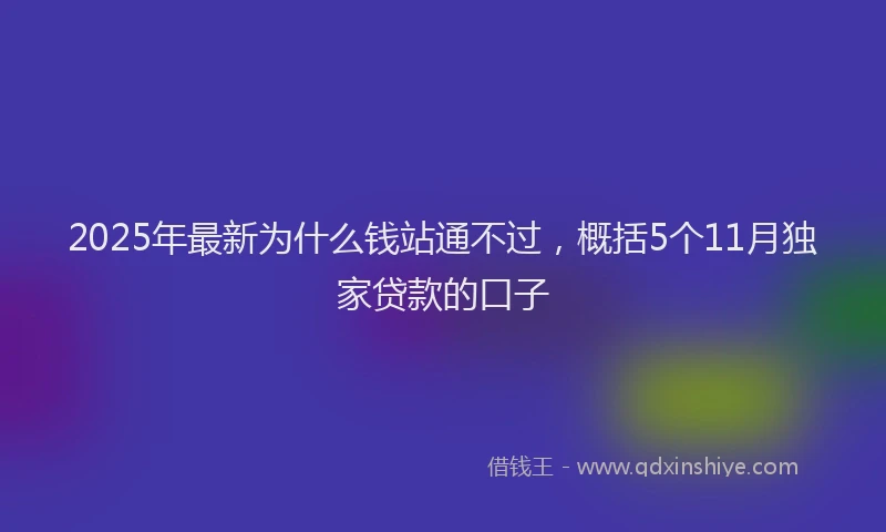 2025年最新为什么钱站通不过，概括5个11月独家贷款的口子