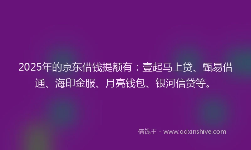 2025年的京东借钱提额有：壹起马上贷、甄易借通、海印金服、月亮钱包、银河信贷等。