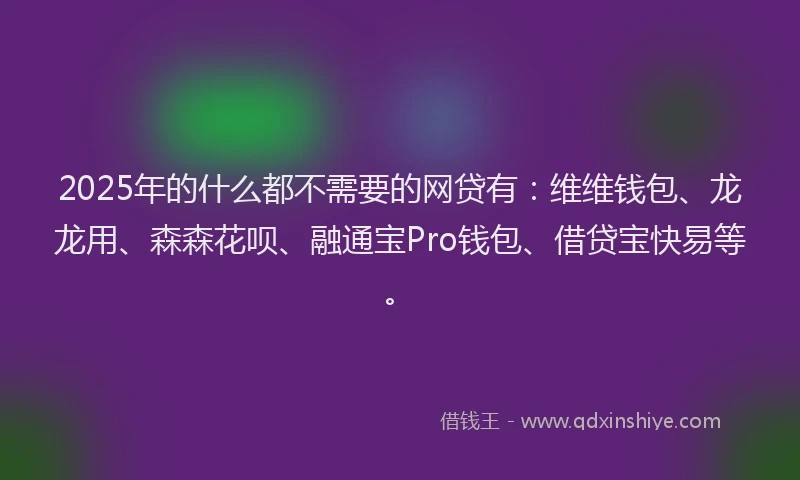 2025年的什么都不需要的网贷有：维维钱包、龙龙用、森森花呗、融通宝Pro钱包、借贷宝快易等。