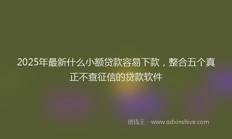 2025年最新什么小额贷款容易下款，整合五个真正不查征信的贷款软件