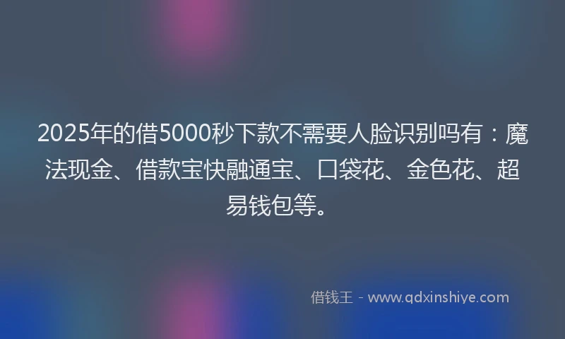 2025年的借5000秒下款不需要人脸识别吗有：魔法现金、借款宝快融通宝、口袋花、金色花、超易钱包等。