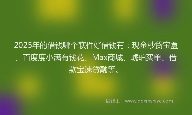 2025年的借钱哪个软件好借钱有：现金秒贷宝盒、百度度小满有钱花、Max商城、琥珀买单、借款宝速贷融等。