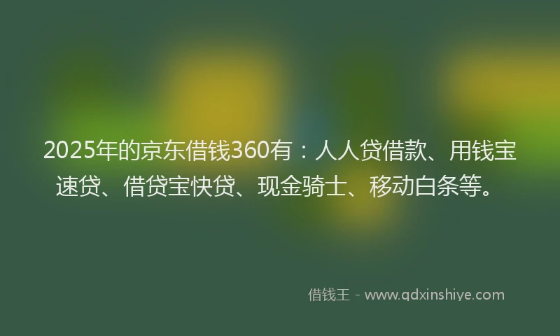 2025年的京东借钱360有：人人贷借款、用钱宝速贷、借贷宝快贷、现金骑士、移动白条等。