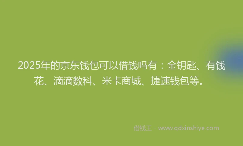 2025年的京东钱包可以借钱吗有：金钥匙、有钱花、滴滴数科、米卡商城、捷速钱包等。